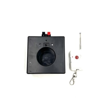 Sistem de inițiere cu o ieșire - D01